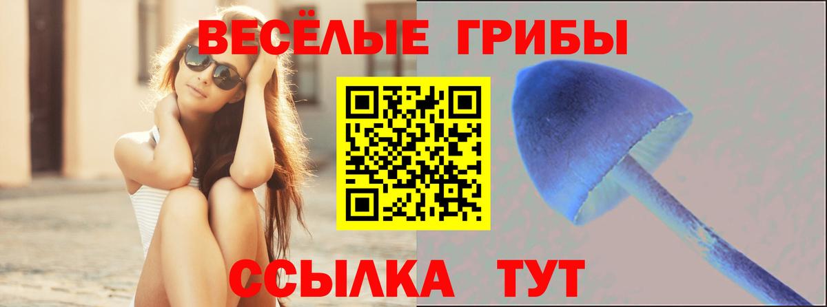 Лангепас  Псилоцибиновые грибы GOLDEN TEACHER  Вход с VPN 